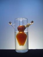 Oil and vinegar 4031