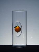 Glas mit der Aprikose 2044