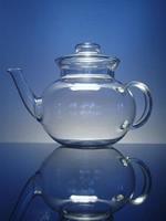Teapot Eva 3005